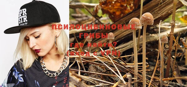 PSILOCYBIN Алексин