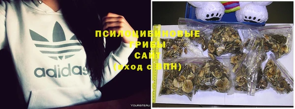 PSILOCYBIN Алексин