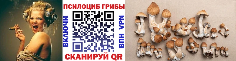 как найти наркотики  Болхов  Галлюциногенные грибы прущие грибы 